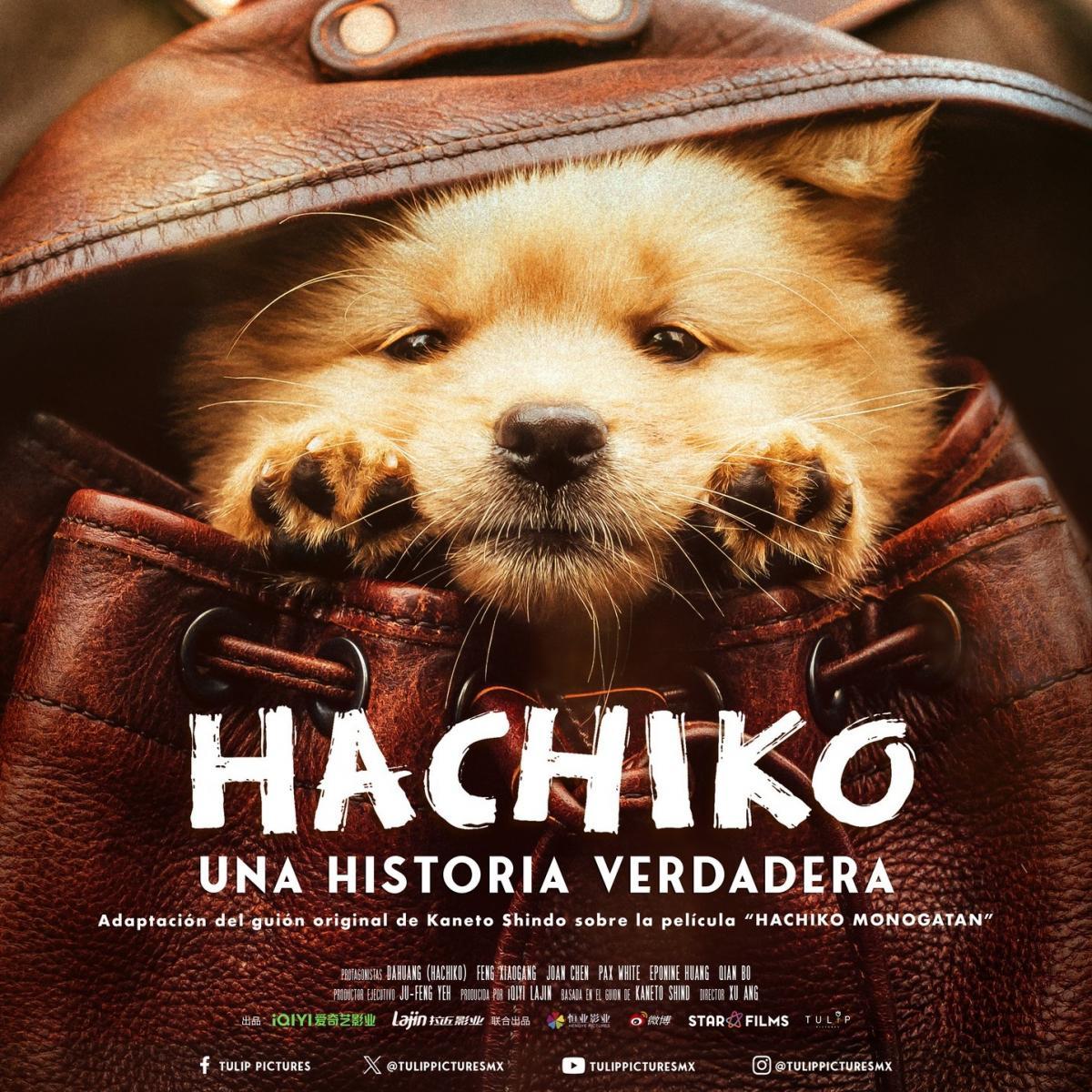 HACHIKO 2 SIEMPRE A TU LADO